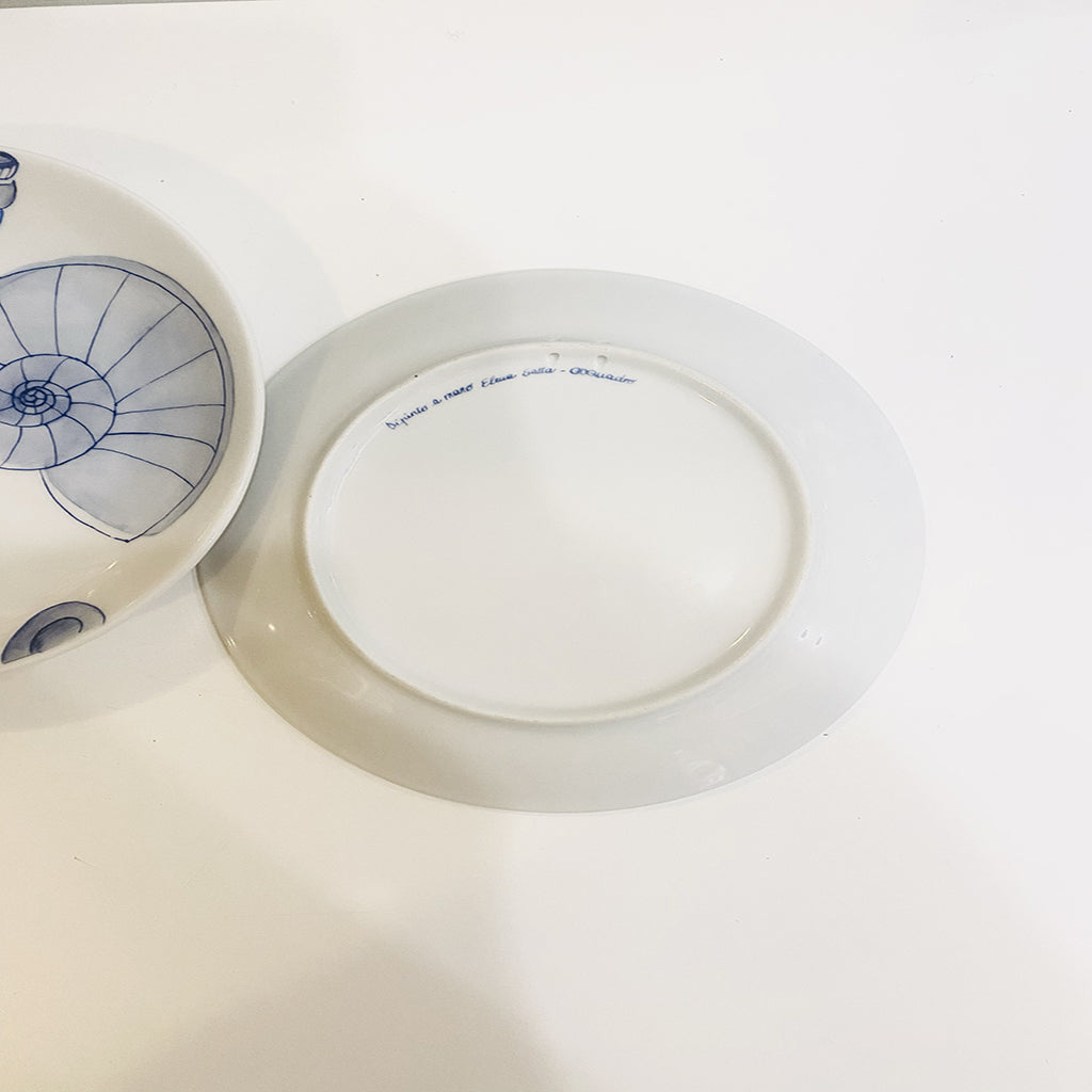 decorative plates shells and corals