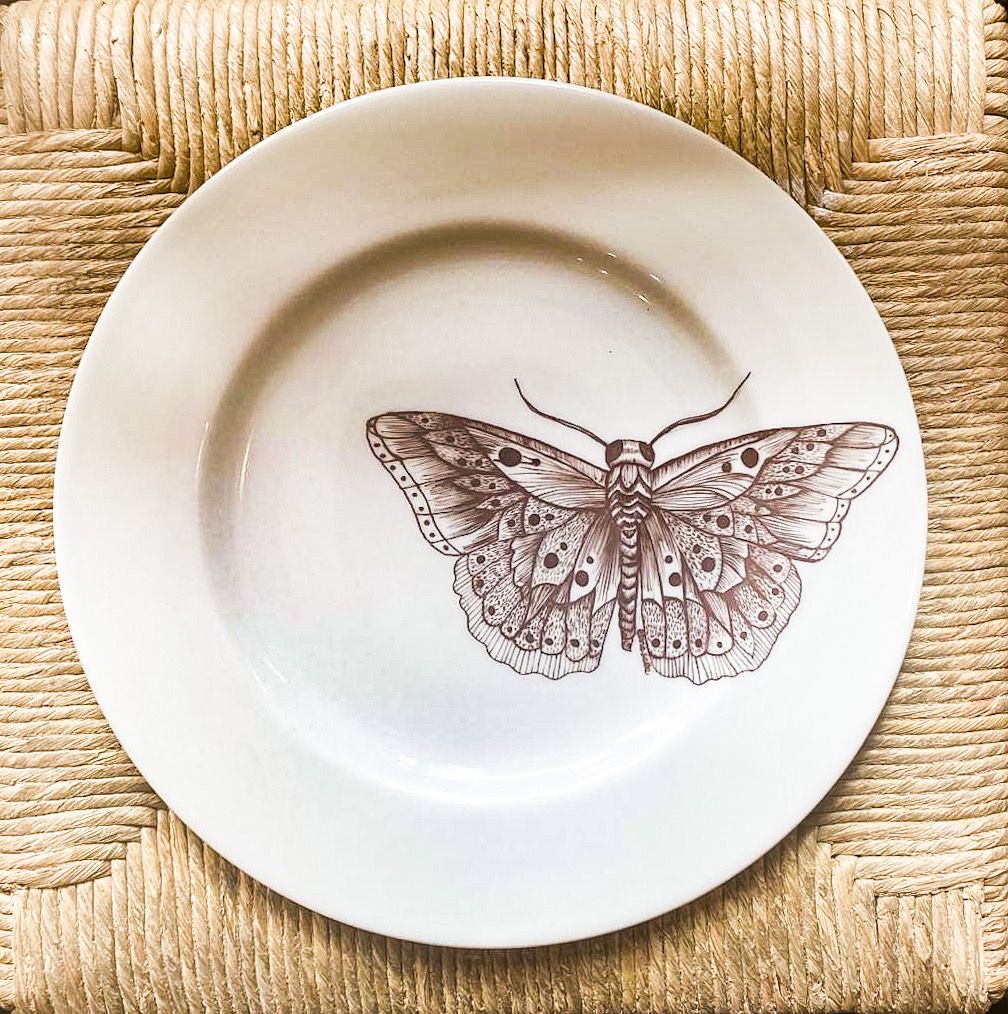 SET PIATTI DECORATIVI INSECTA "CABINET DE CURIOSITÉS" SET PRANZO