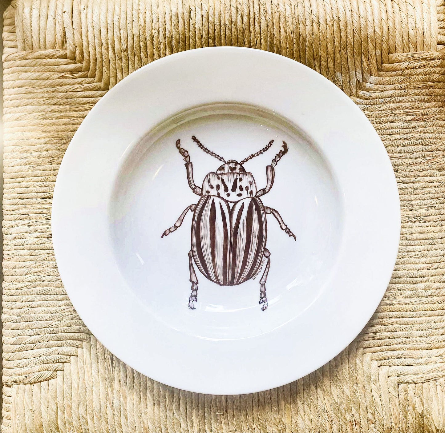 SET PIATTI DECORATIVI INSECTA "CABINET DE CURIOSITÉS" SET PRANZO