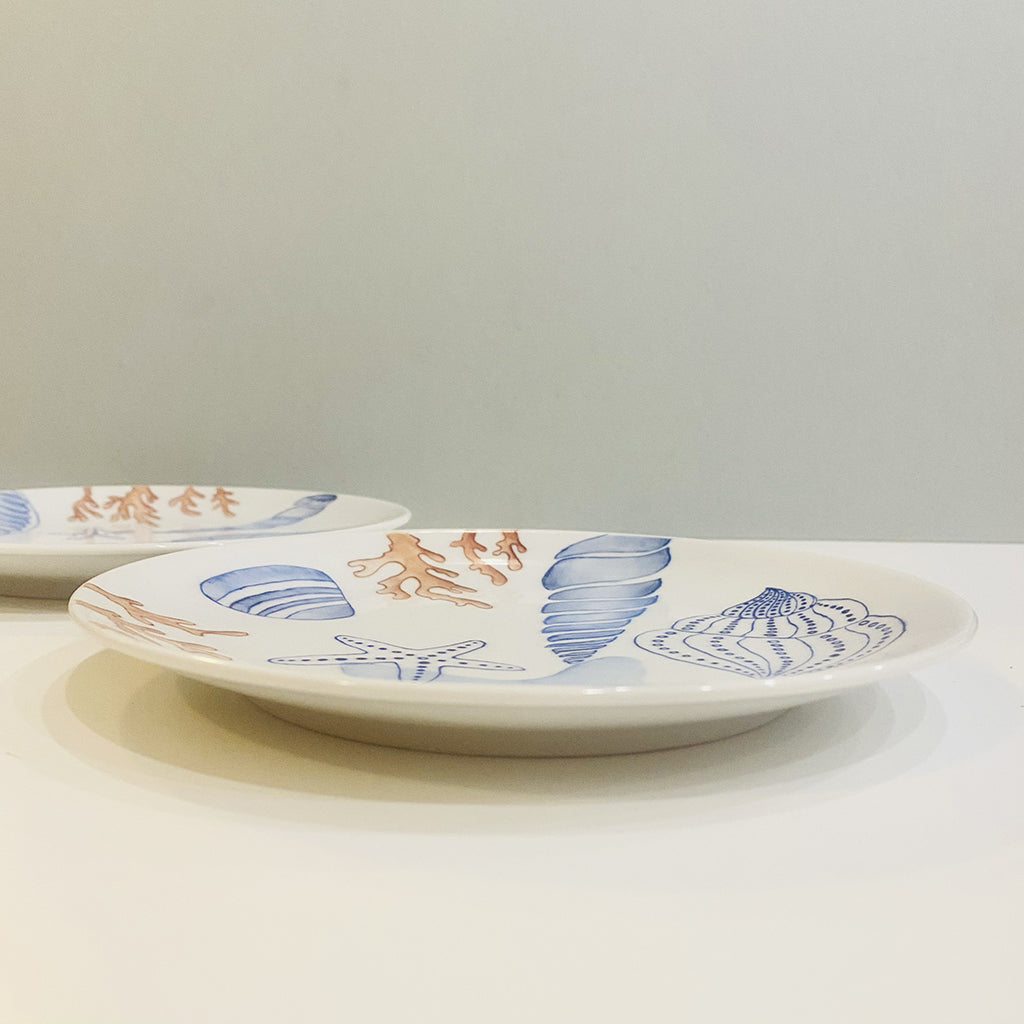 decorative plates shells and corals