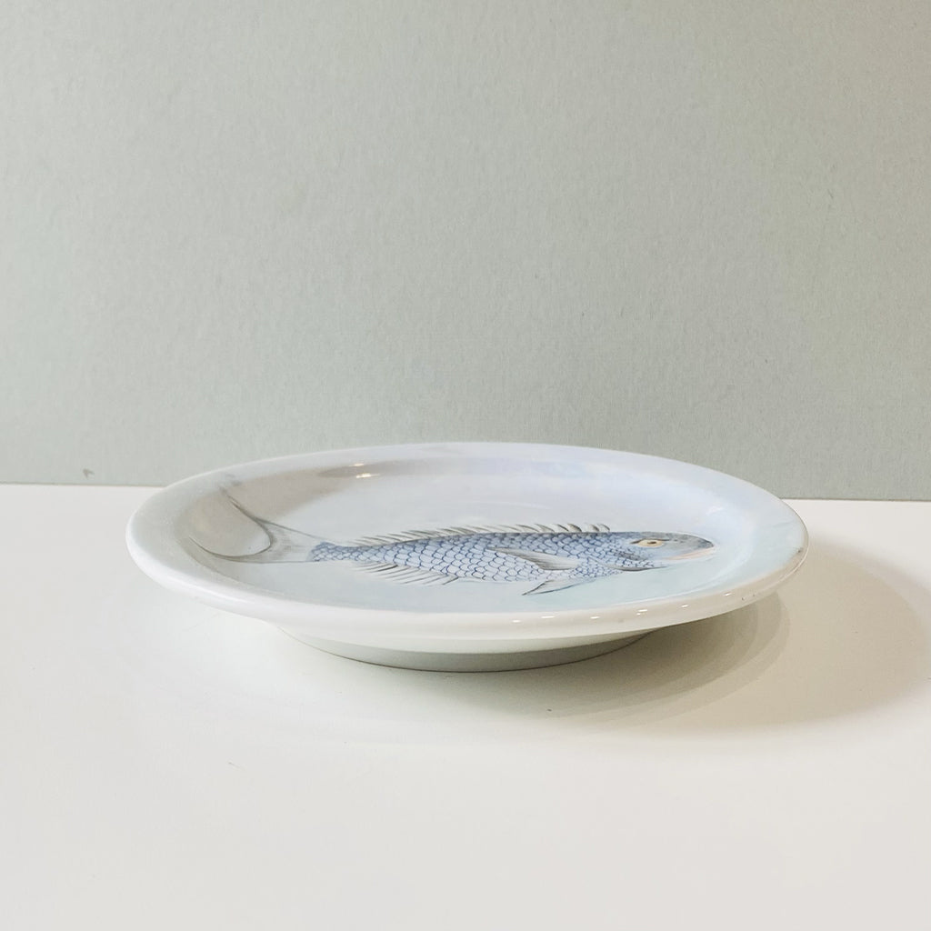 Decorative hand painted plate piatto porcellana Pesce colore blu